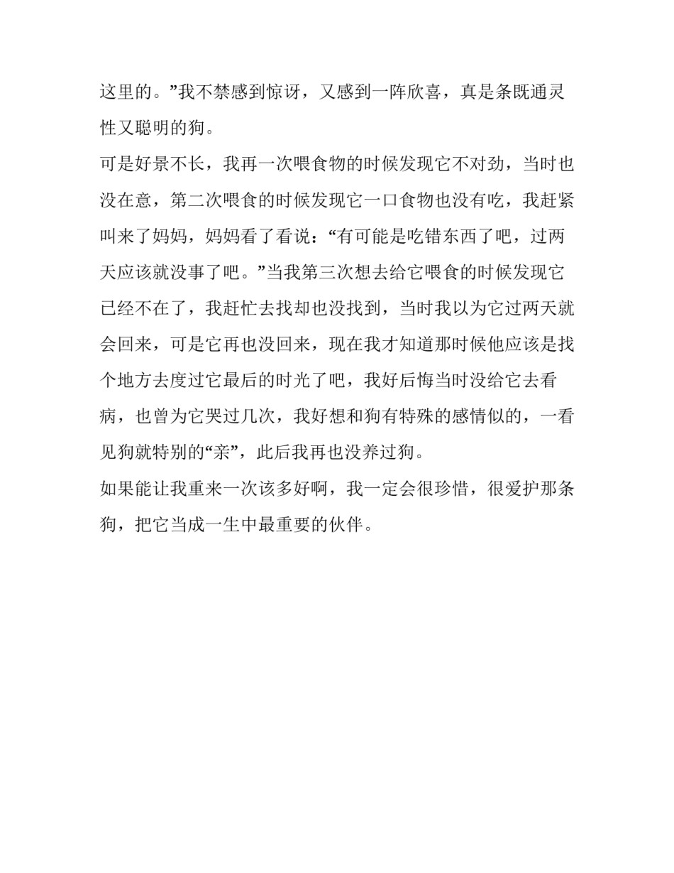 我的小伙伴初中作文范文_第2页