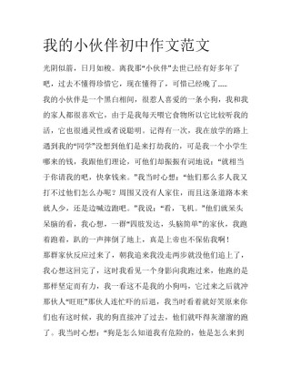 我的小伙伴初中作文范文