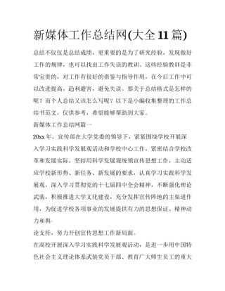 新媒体工作总结网(大全11篇)