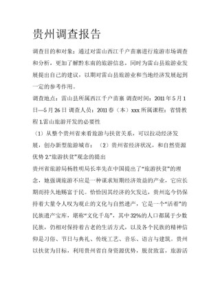 贵州调查报告