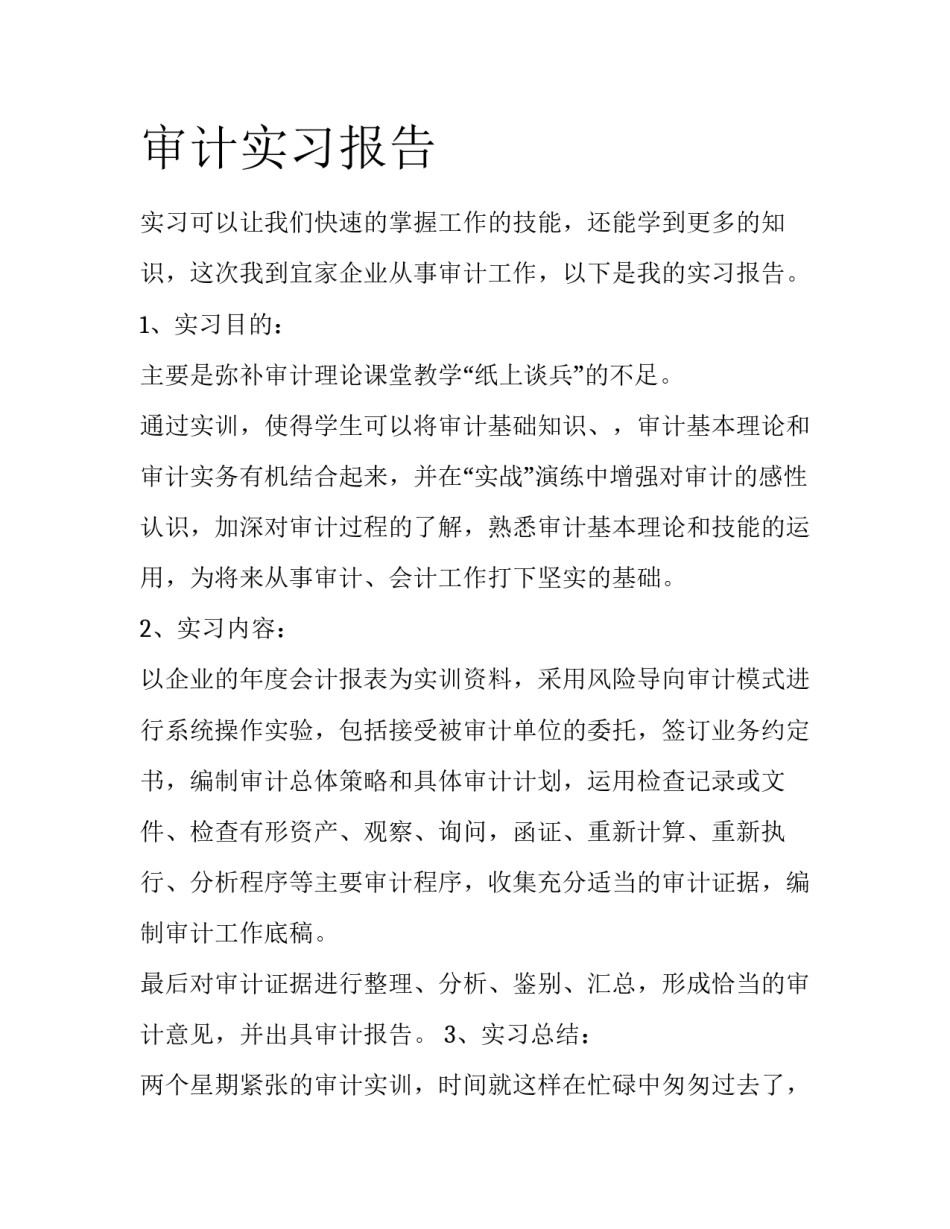 审计实习报告_第1页