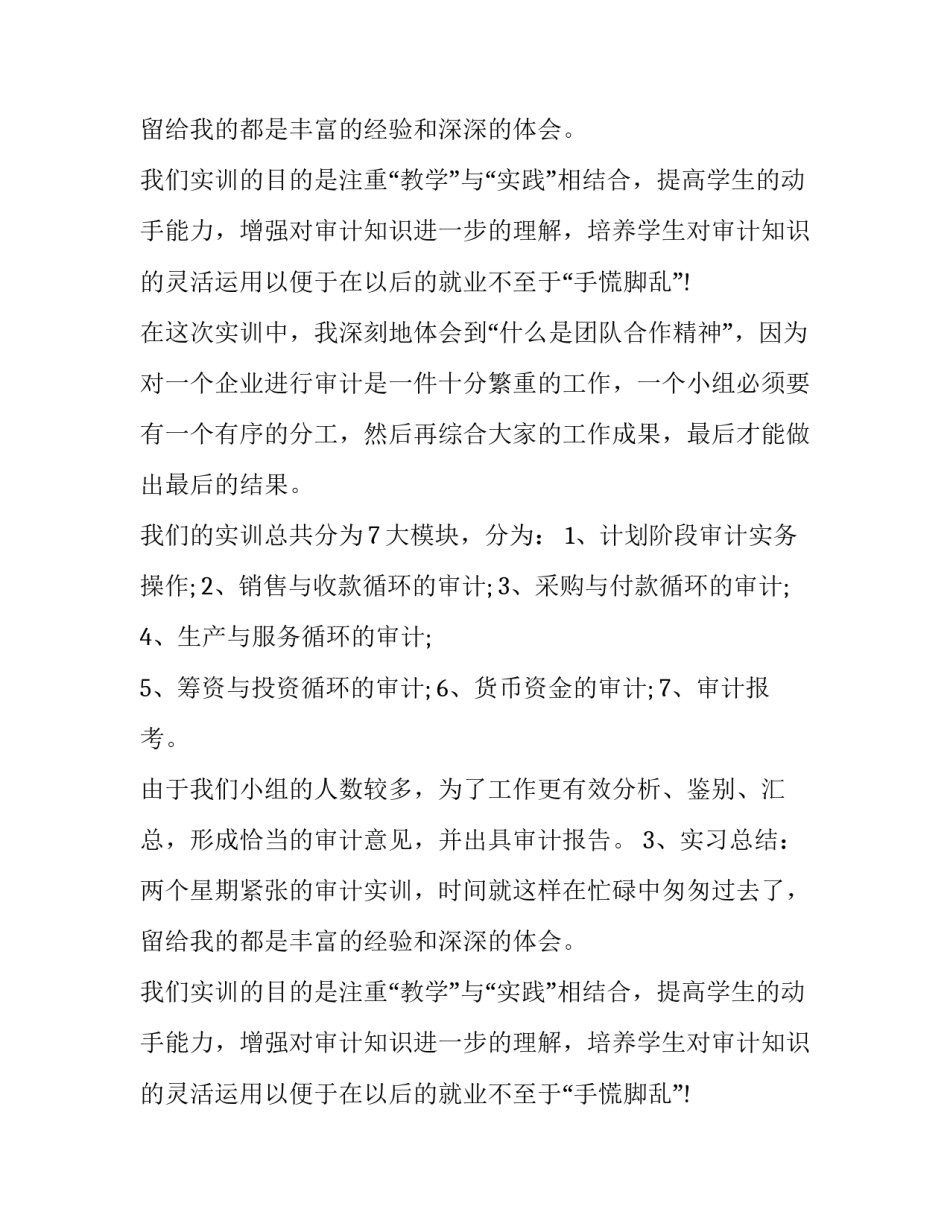 审计实习报告_第2页
