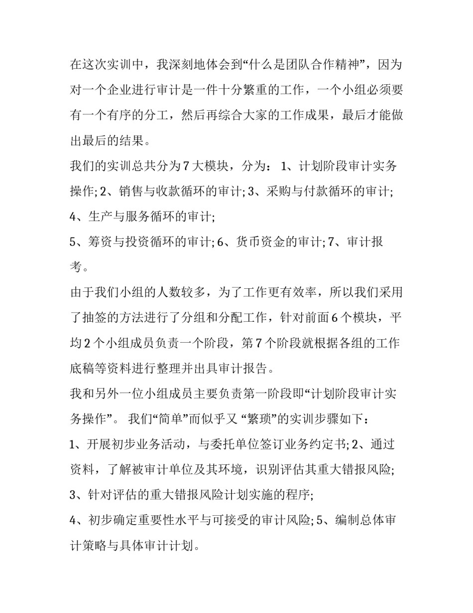 审计实习报告_第3页