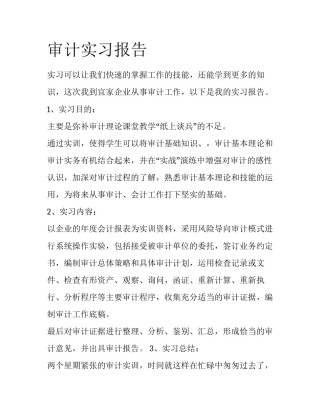 审计实习报告