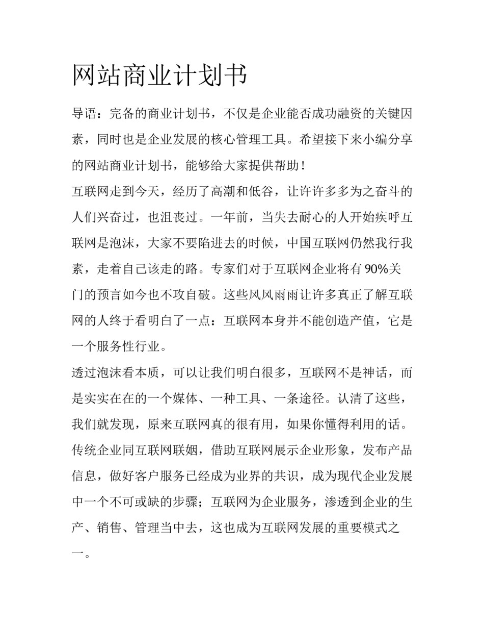 网站商业计划书_第1页