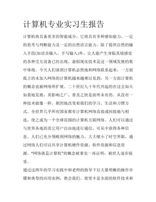 计算机专业实习生报告