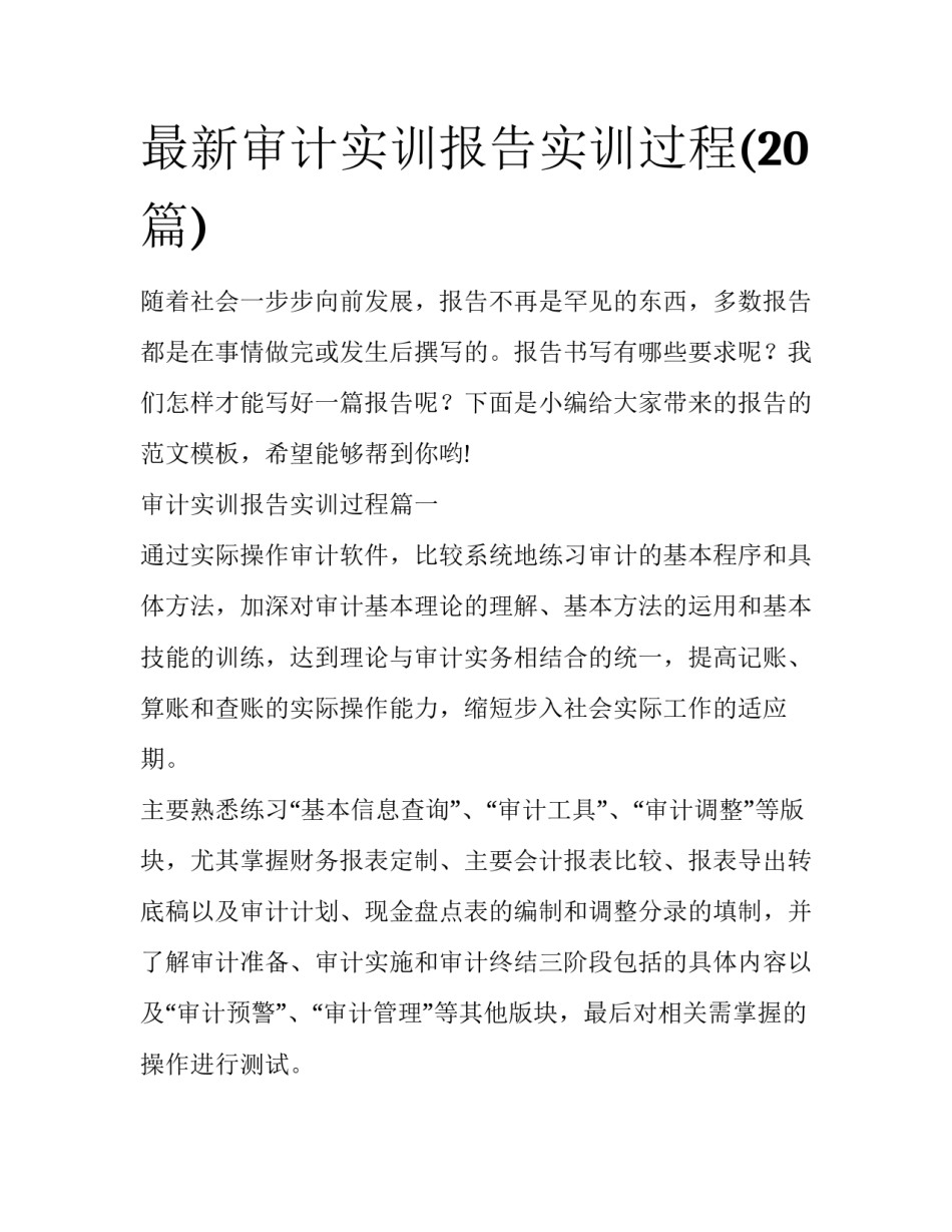 最新审计实训报告实训过程(20篇)_第1页