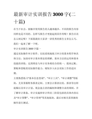 最新审计实训报告3000字(二十篇)