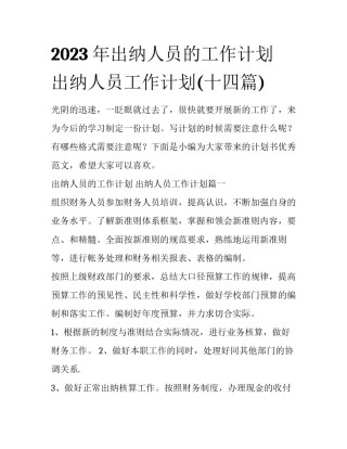 2023年出纳人员的工作计划 出纳人员工作计划(十四篇)