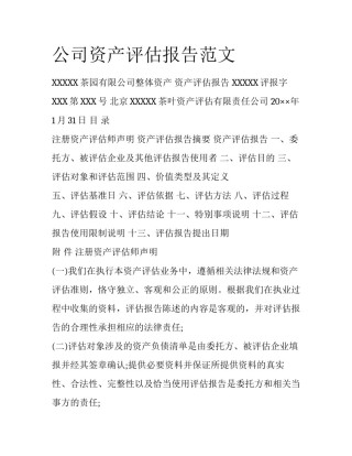 公司资产评估报告范文