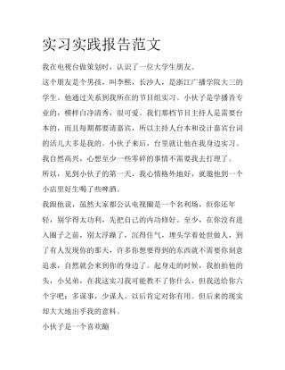 实习实践报告范文