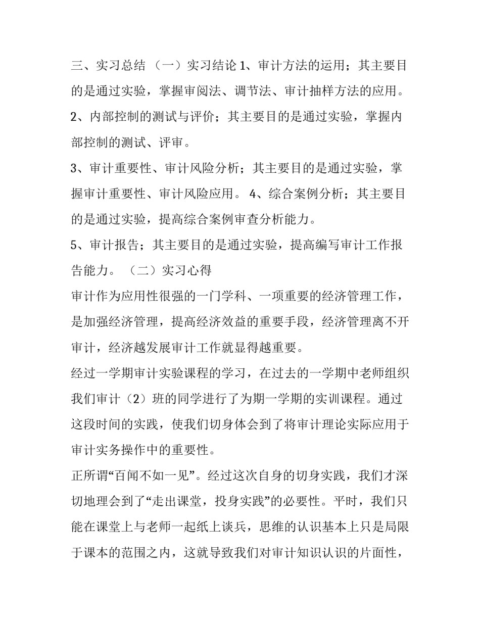 审计模拟实训实习报告范文_第3页