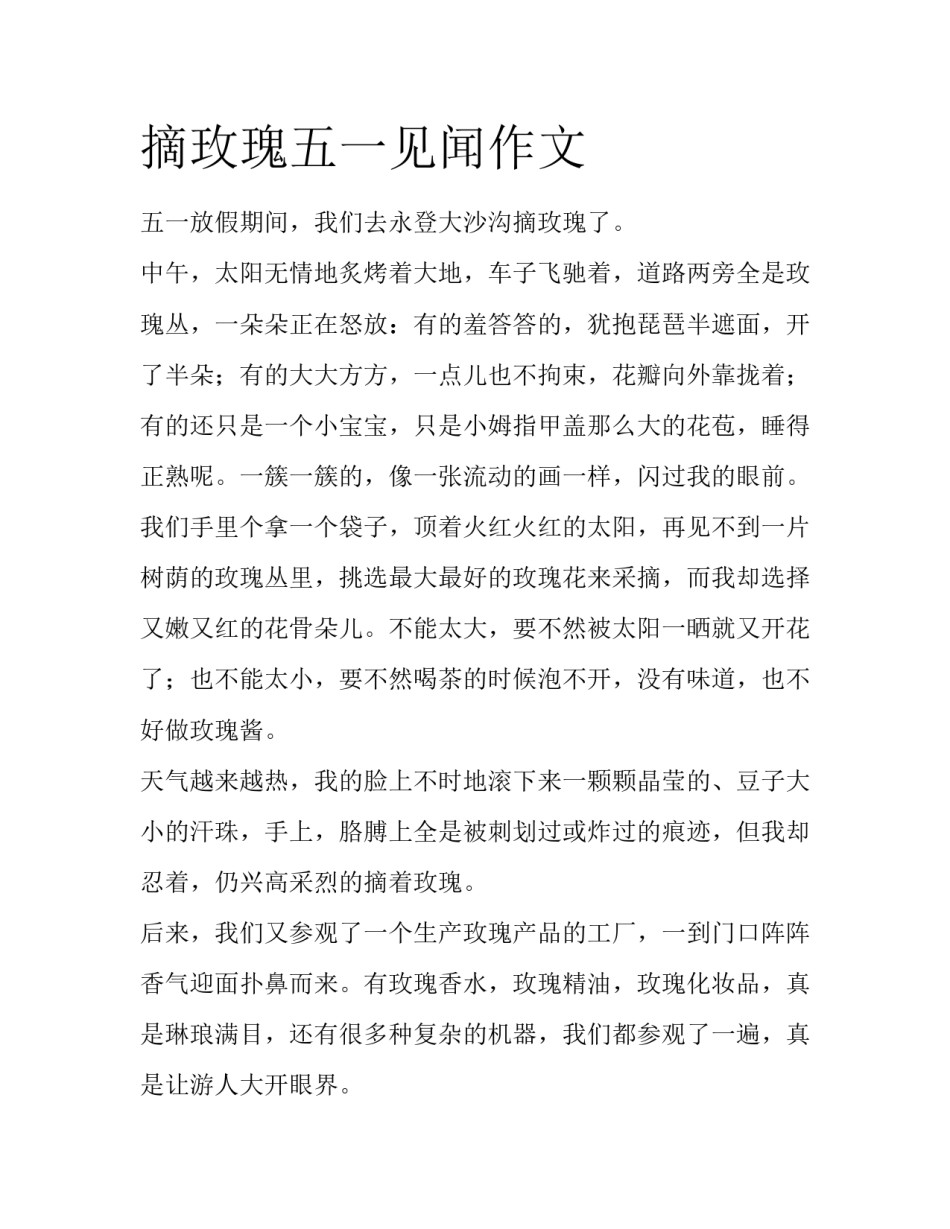 摘玫瑰五一见闻作文_第1页