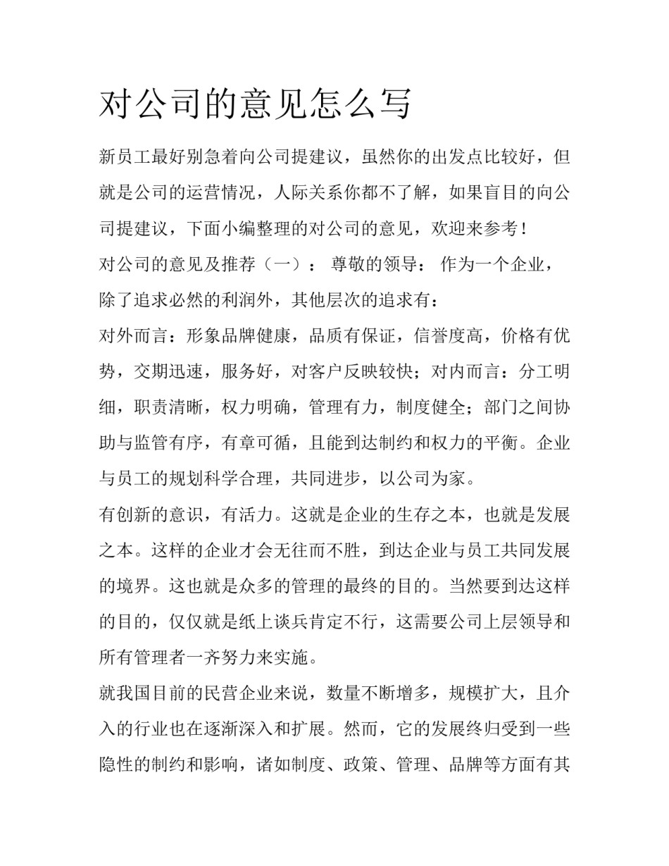 对公司的意见怎么写_第1页