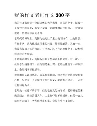 我的作文老师作文300字