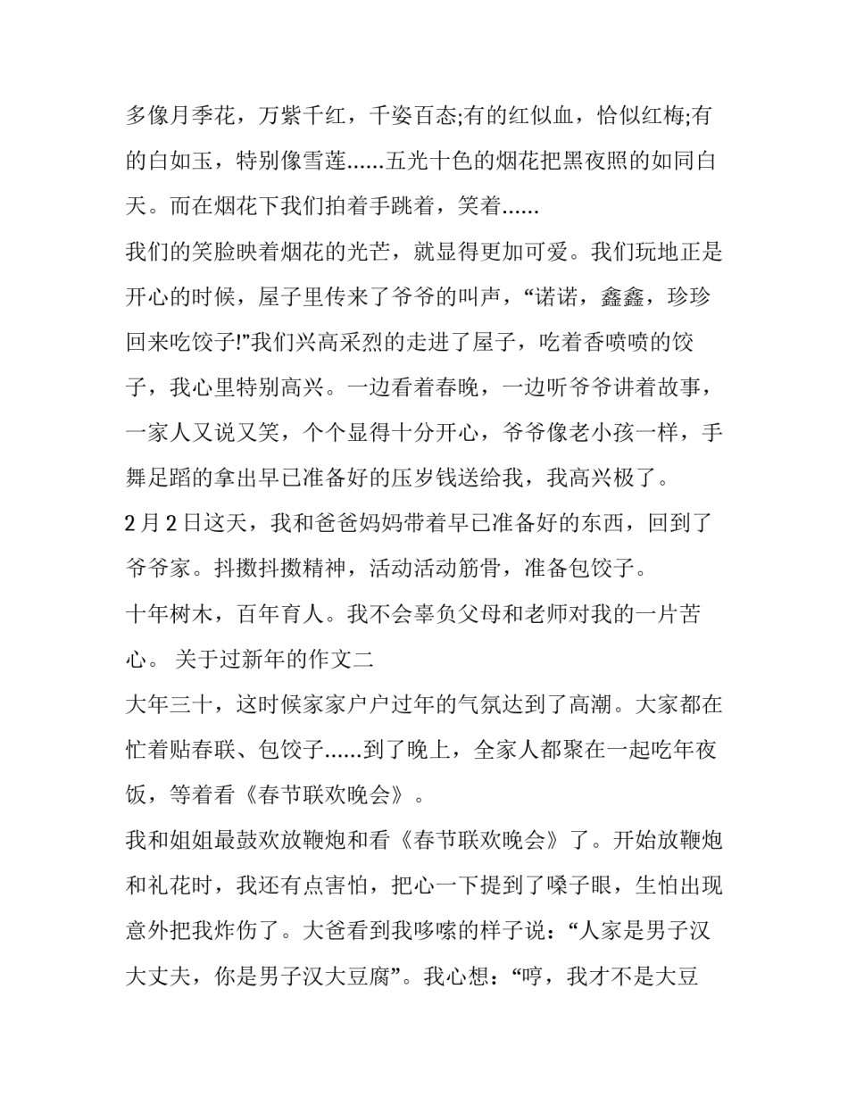 关于过新年的作文四篇_第2页