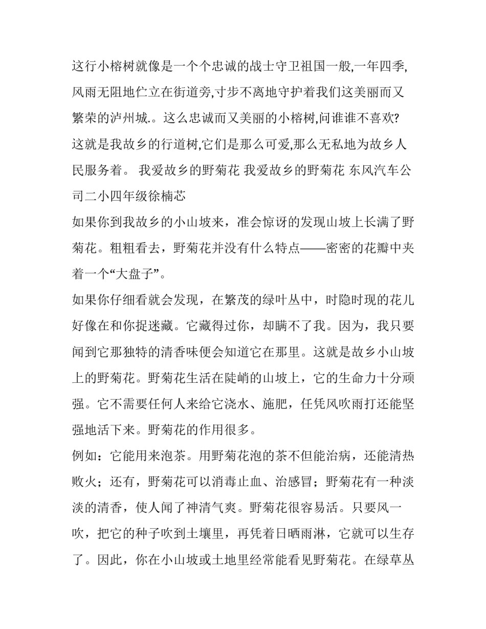 写我故乡的作文_第3页