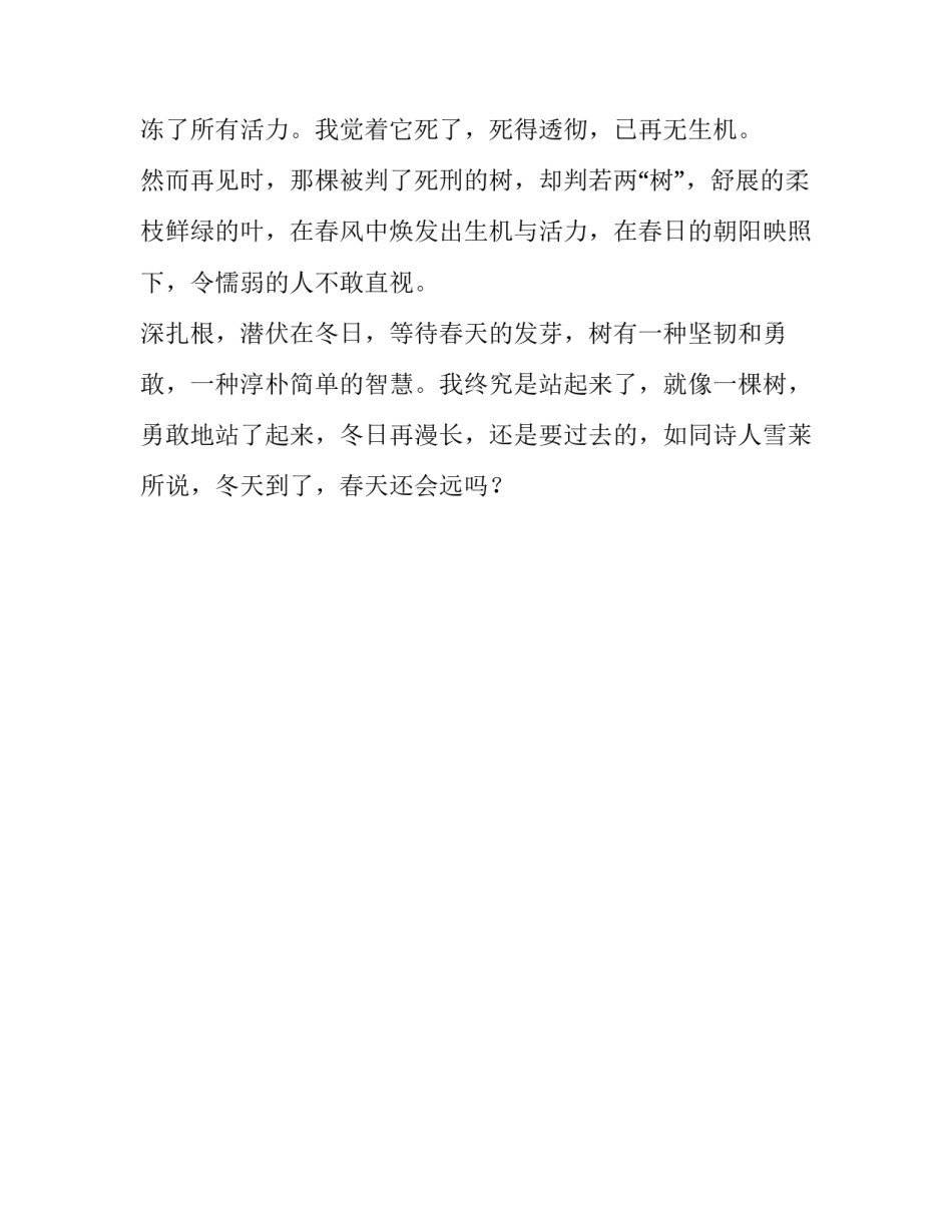 就像一棵树作文_第3页