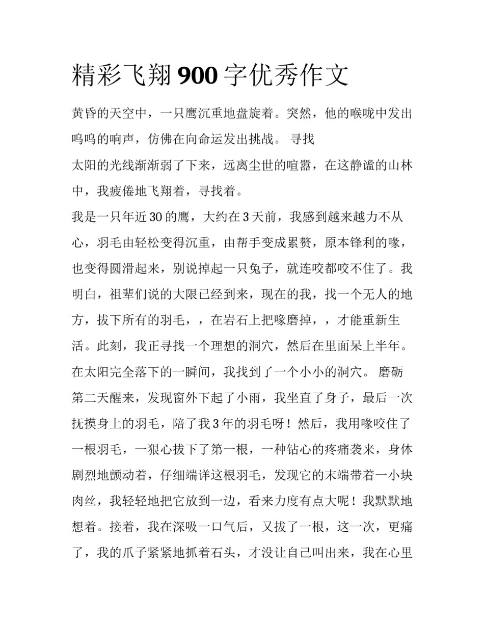 精彩飞翔900字优秀作文_第1页