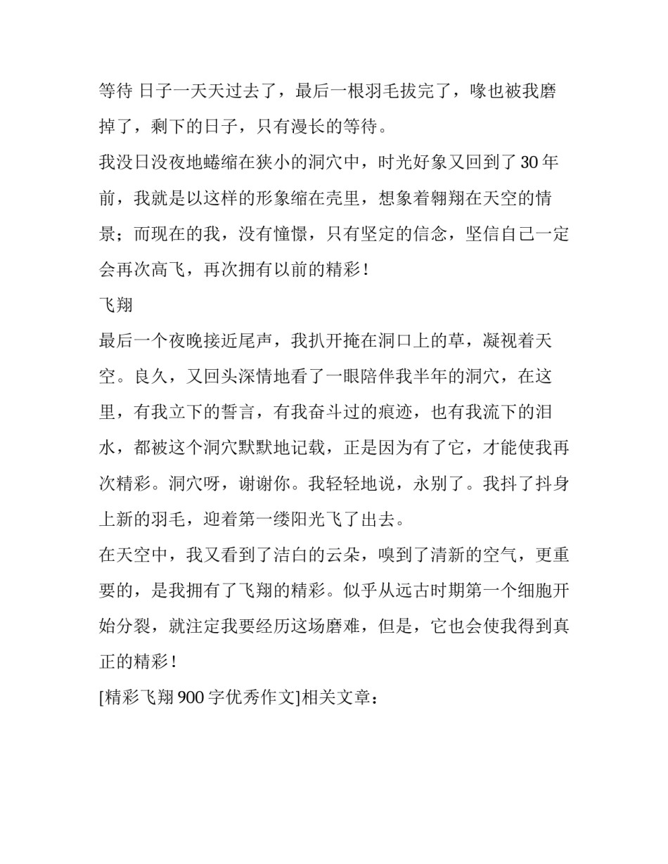 精彩飞翔900字优秀作文_第3页