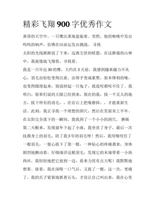 精彩飞翔900字优秀作文