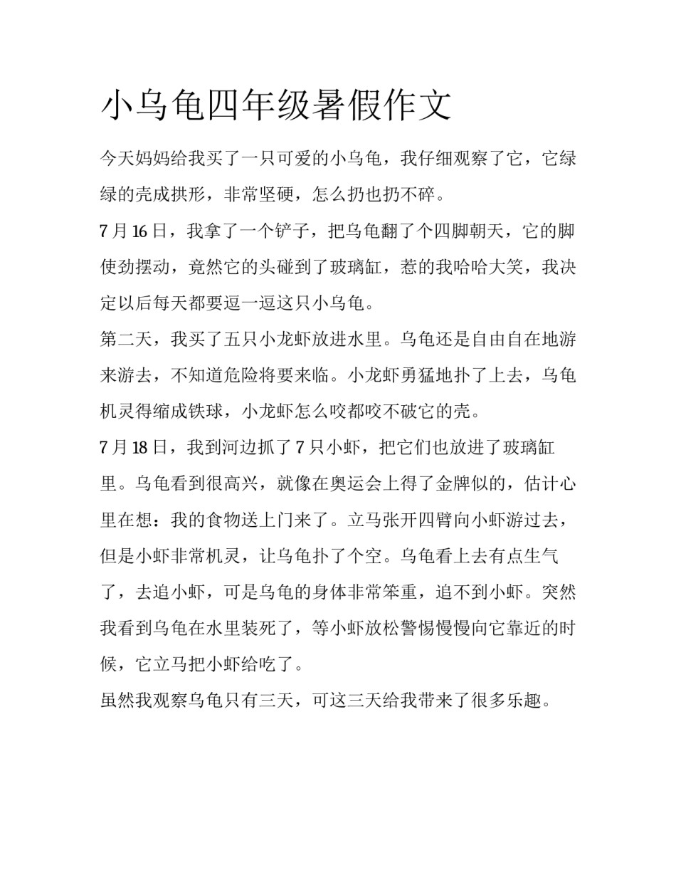 小乌龟四年级暑假作文_第1页