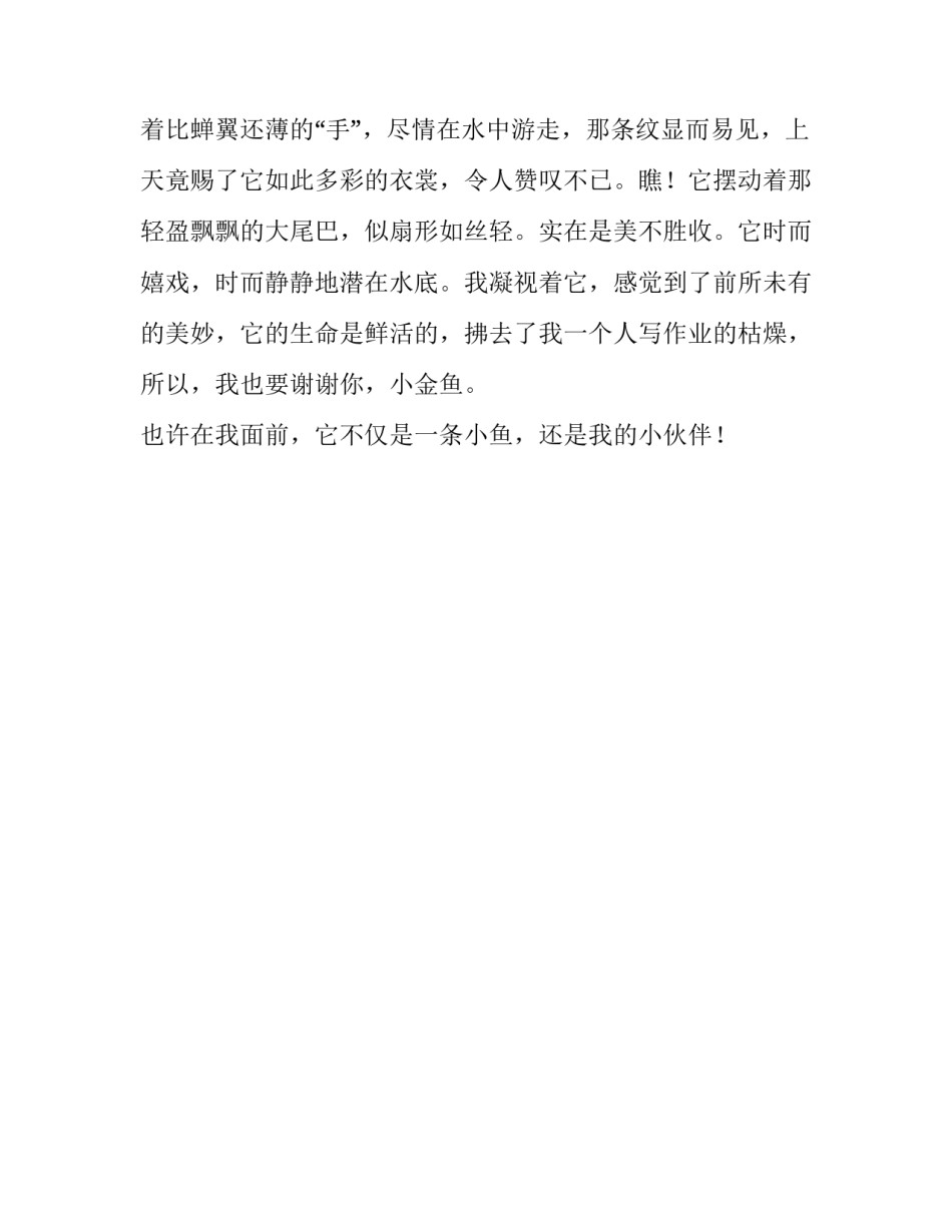 金鱼,我的小伙伴400字作文_第2页