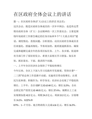 在区政府全体会议上的讲话