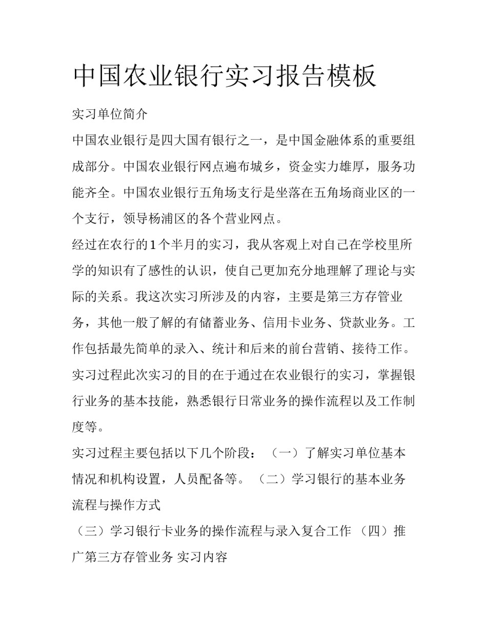 中国农业银行实习报告模板_第1页