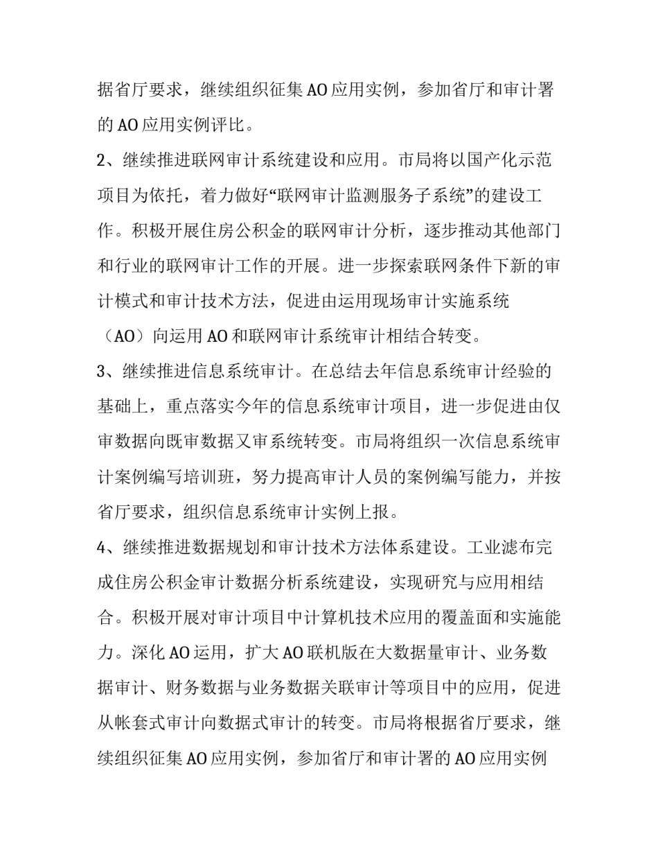 审计局审计信息化工作计划_第2页