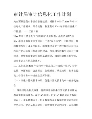审计局审计信息化工作计划