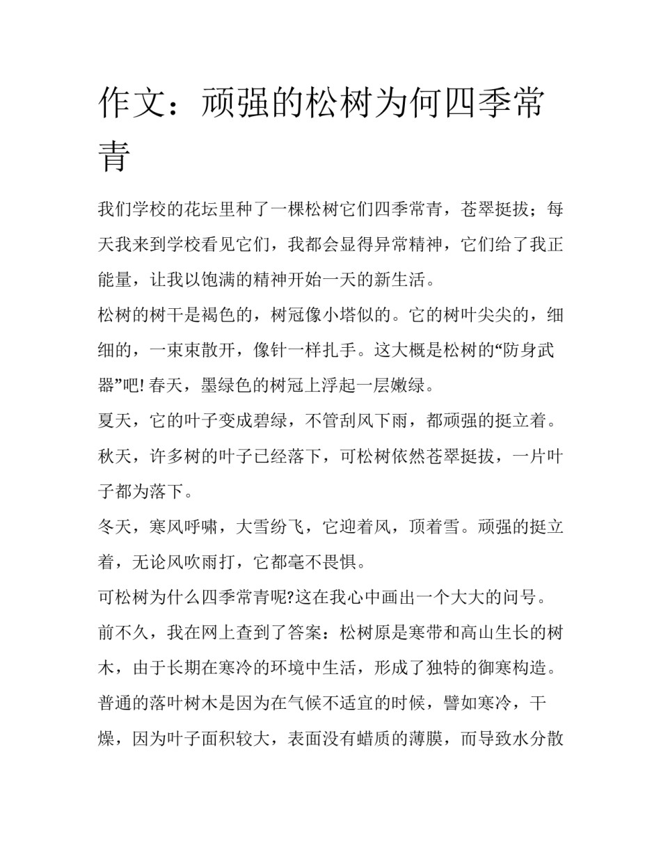作文：顽强的松树为何四季常青_第1页