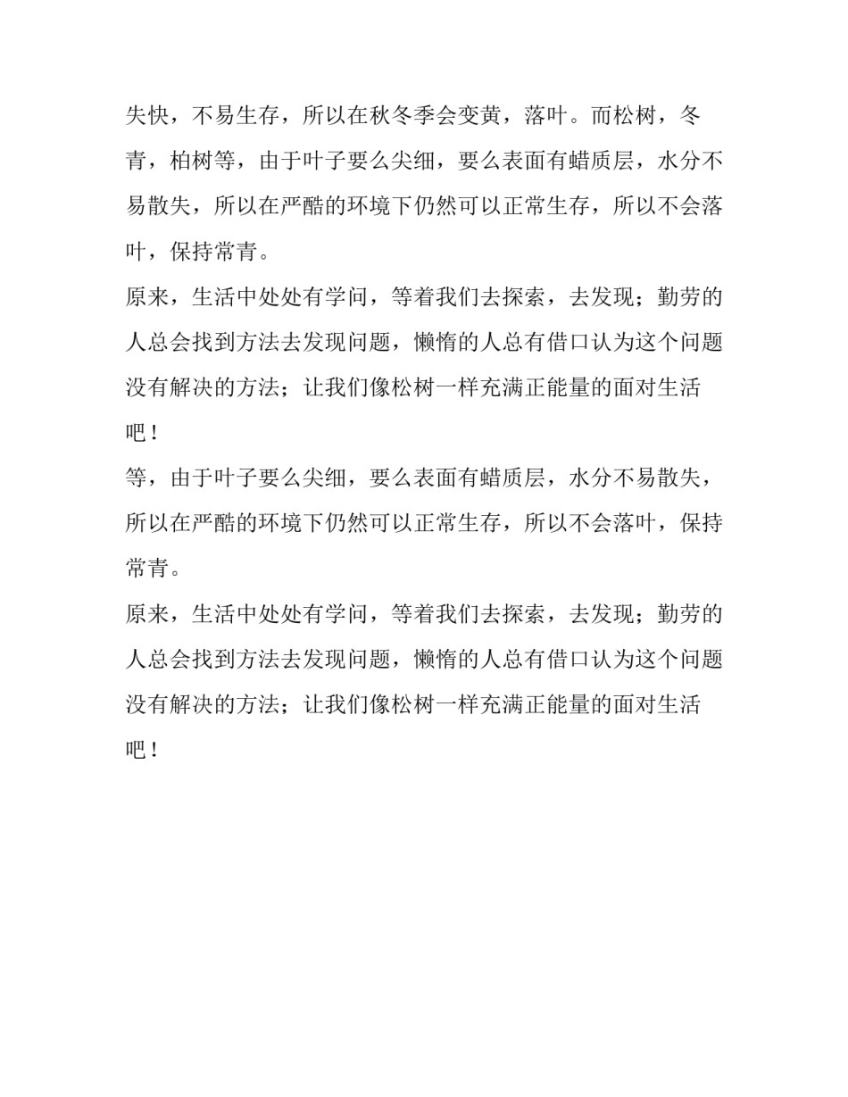 作文：顽强的松树为何四季常青_第2页