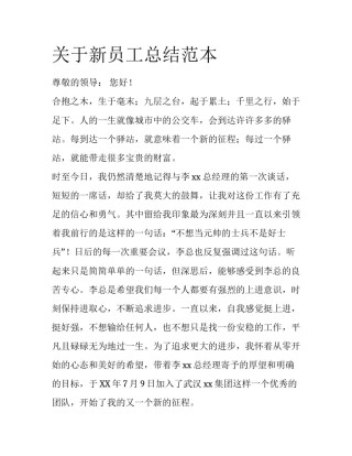 关于新员工总结范本