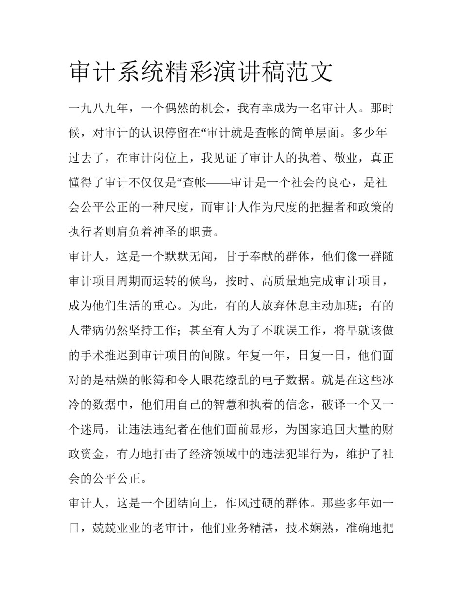 审计系统精彩演讲稿范文_第1页