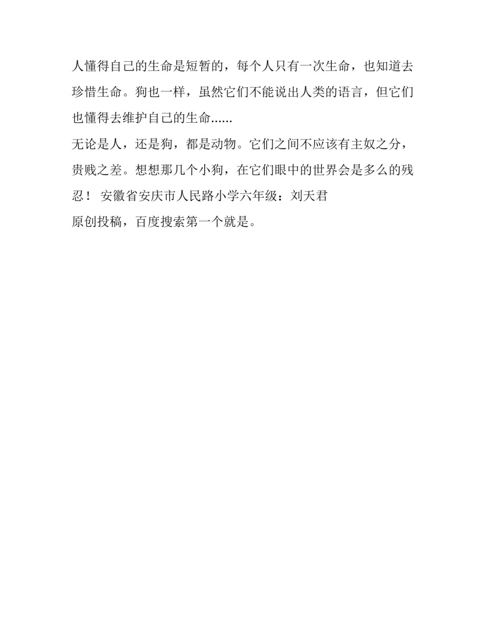 唉，那些可怜的小狗500字作文_第2页