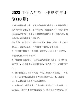 2023年个人年终工作总结与计划(10篇)