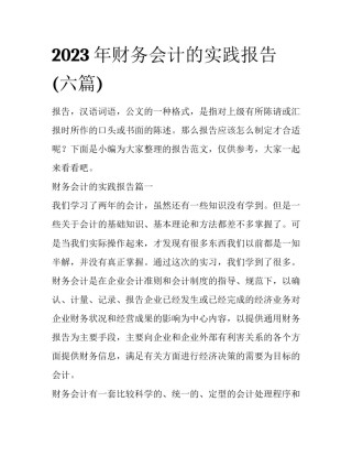 2023年财务会计的实践报告(六篇)