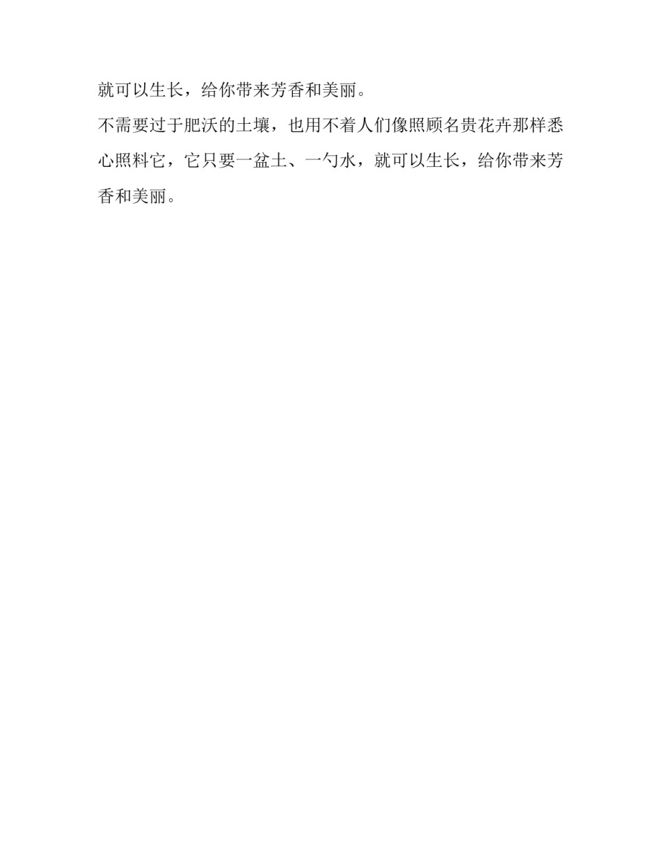满天星五年级作文_第2页