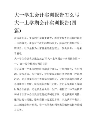大一学生会计实训报告怎么写 大一上学期会计实训报告(四篇)