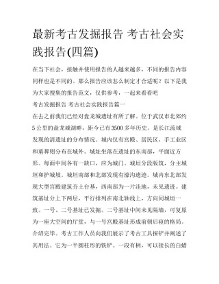 最新考古发掘报告 考古社会实践报告(四篇)