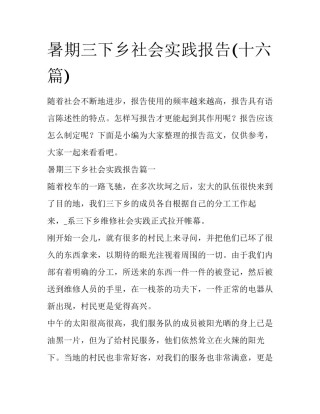 暑期三下乡社会实践报告(十六篇)
