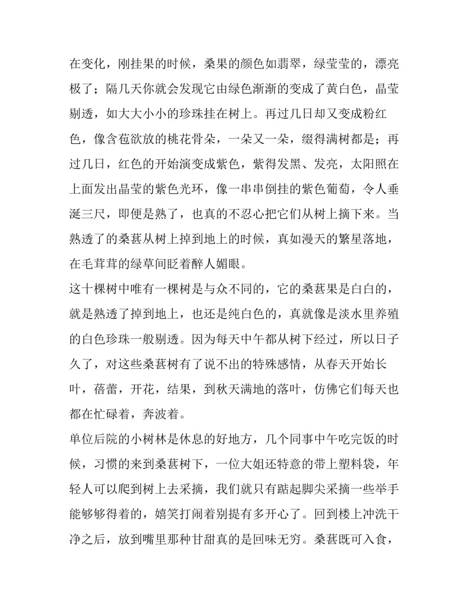 甘甜桑葚沁心脾_第2页