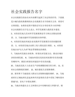 社会实践报告名字