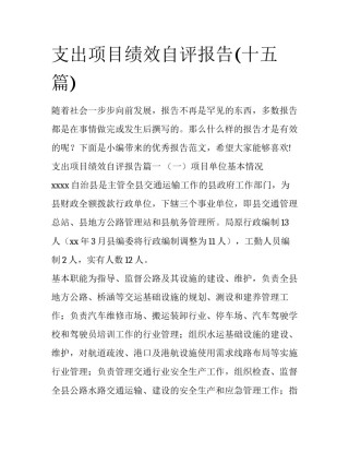支出项目绩效自评报告(十五篇)