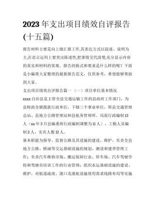 2023年支出项目绩效自评报告(十五篇)