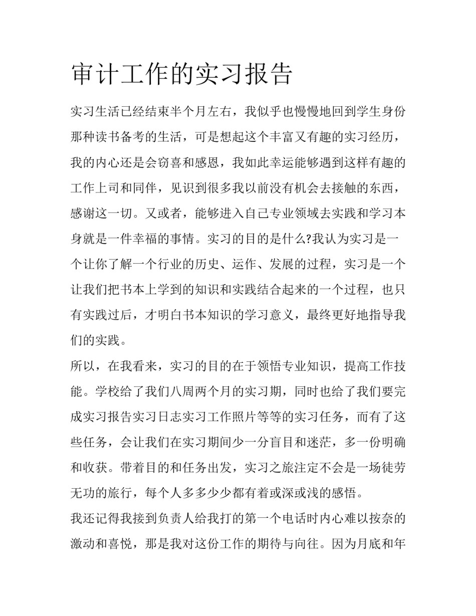 审计工作的实习报告_第1页