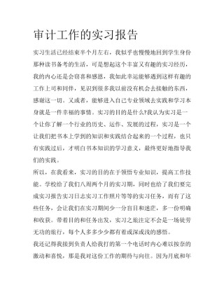 审计工作的实习报告