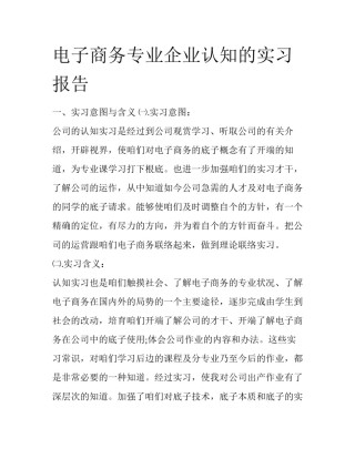 电子商务专业企业认知的实习报告