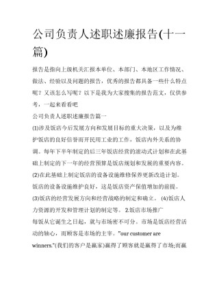 公司负责人述职述廉报告(十一篇)